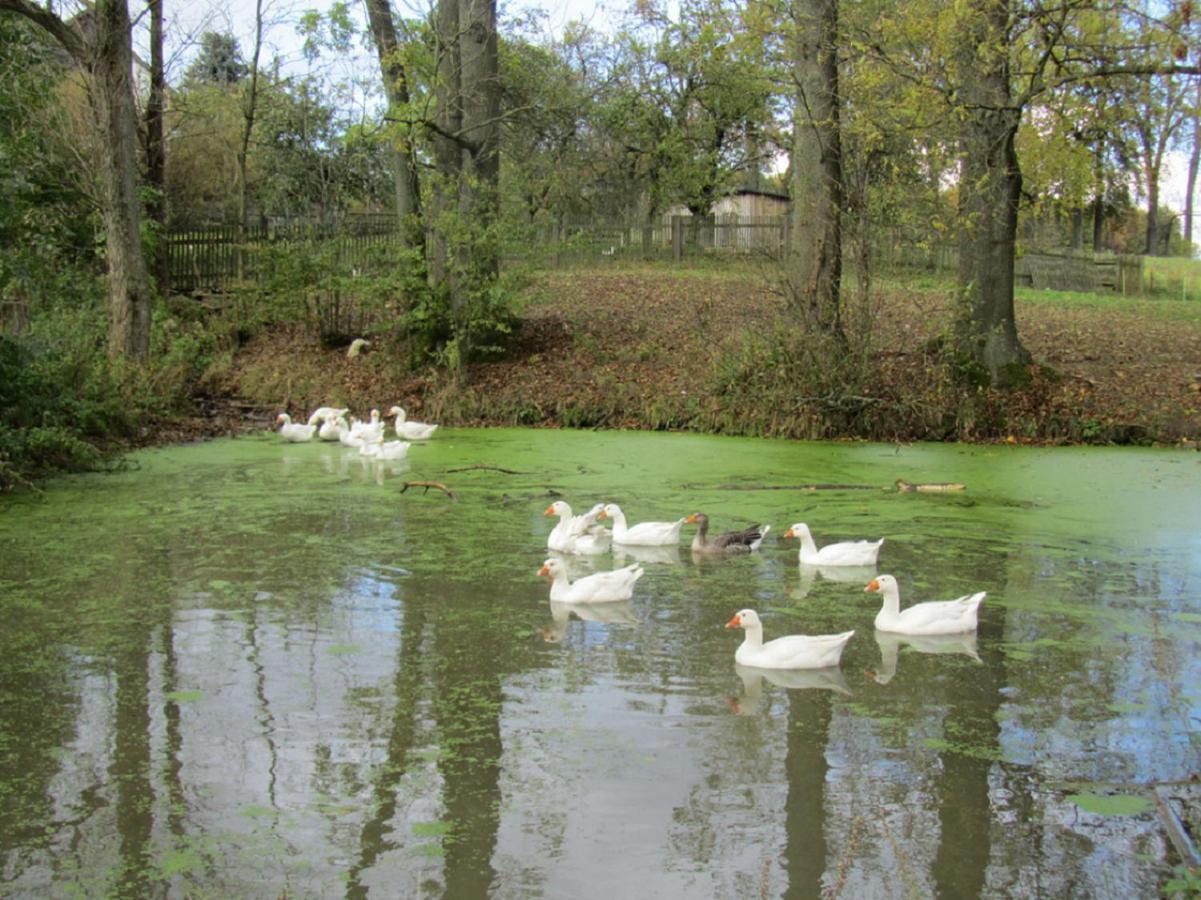 Bio Ferienhof Erzengel Berg  Dış mekan fotoğraf