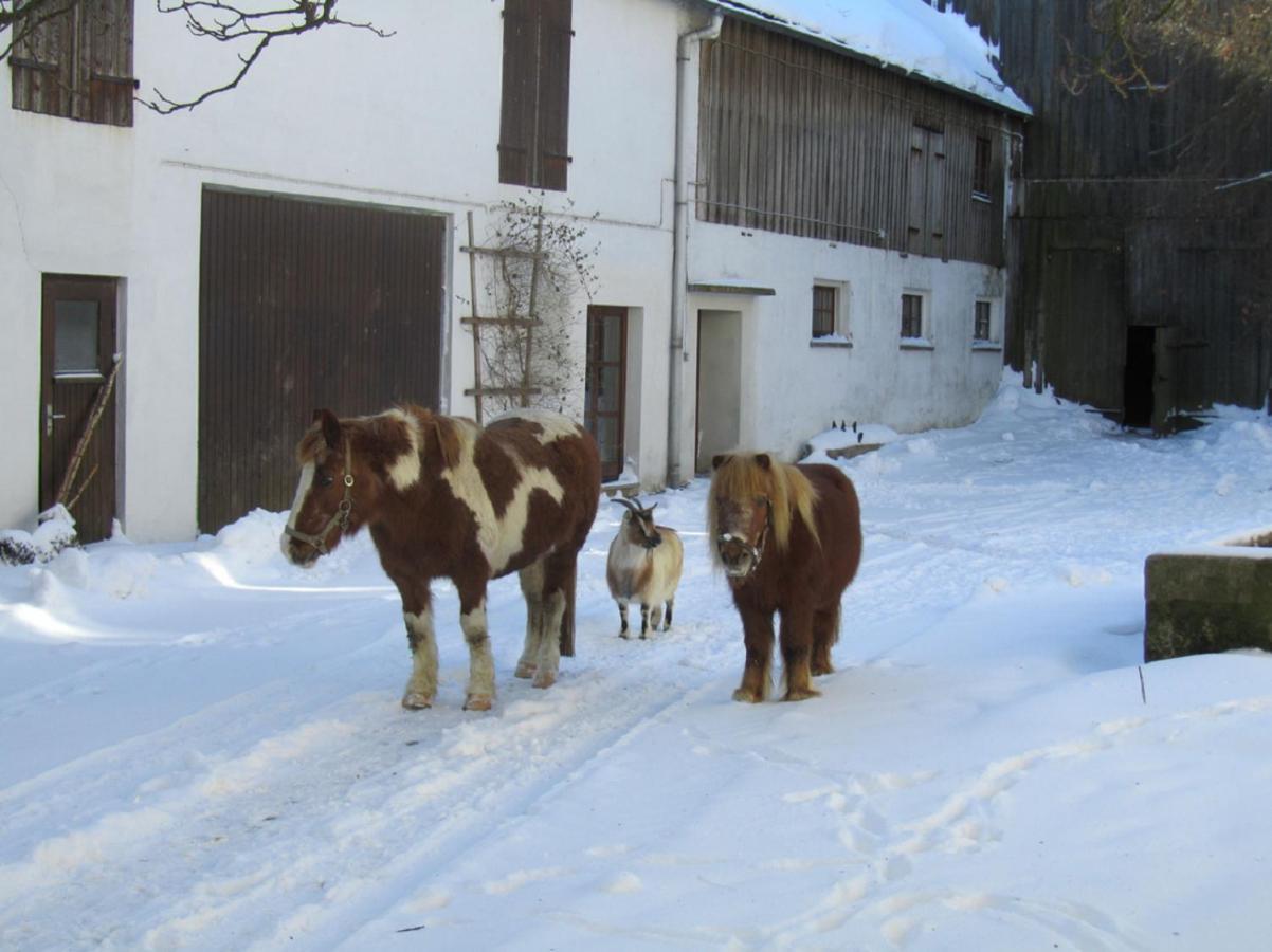 Bio Ferienhof Erzengel Berg  Dış mekan fotoğraf