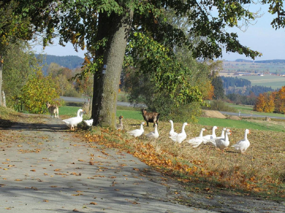 Bio Ferienhof Erzengel Berg  Dış mekan fotoğraf